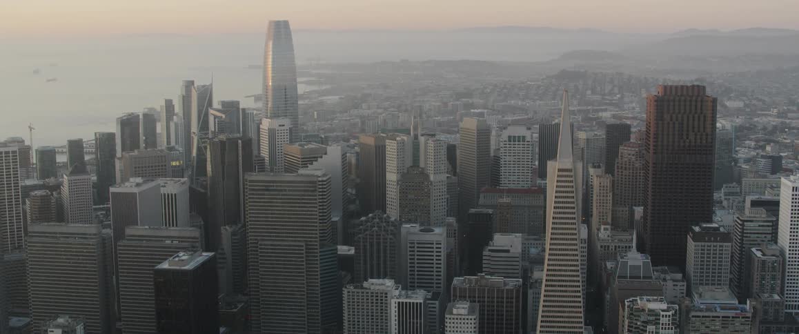 The coastal city is full of tall skyscrapers