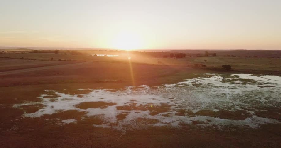 The bright sun shines on the fields