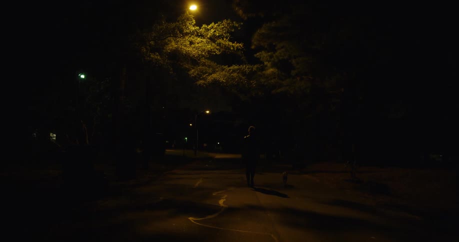 A woman is walking down a street in a neighborhood at night
