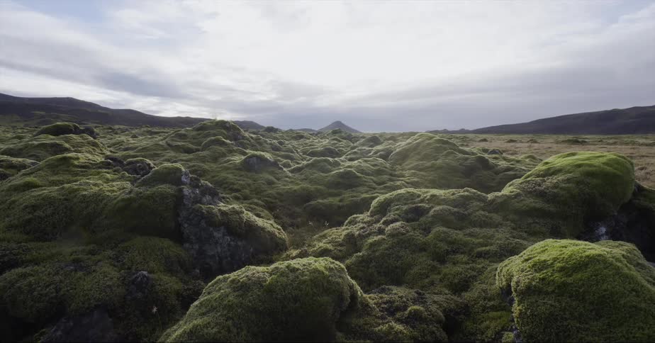 Large rocks covered in moss on cloudy day in wilderness