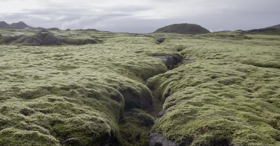 Long crevice sits between the mossy rocks