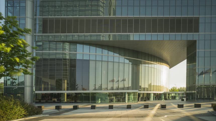 Tree sways in the breeze in front of a large building with many glass windows