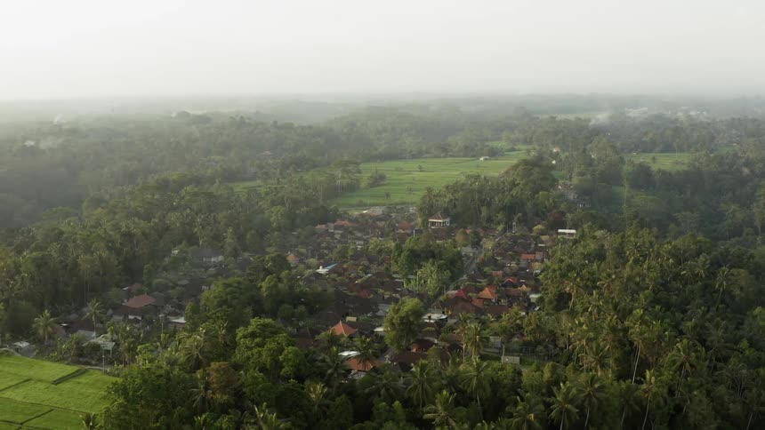 Trees and grass surround a cluster of homes