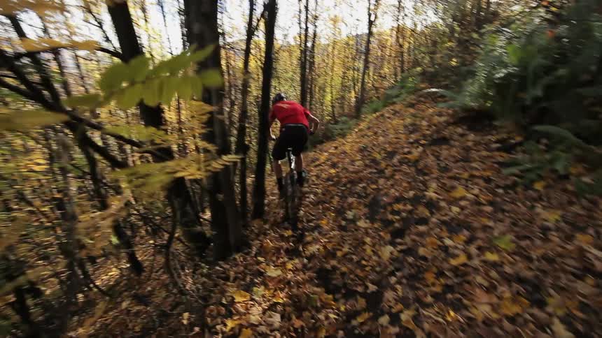 A bicyclist speeds through the woods