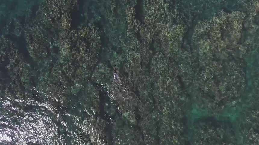 Person is snorkeling in ocean reef on sunny day