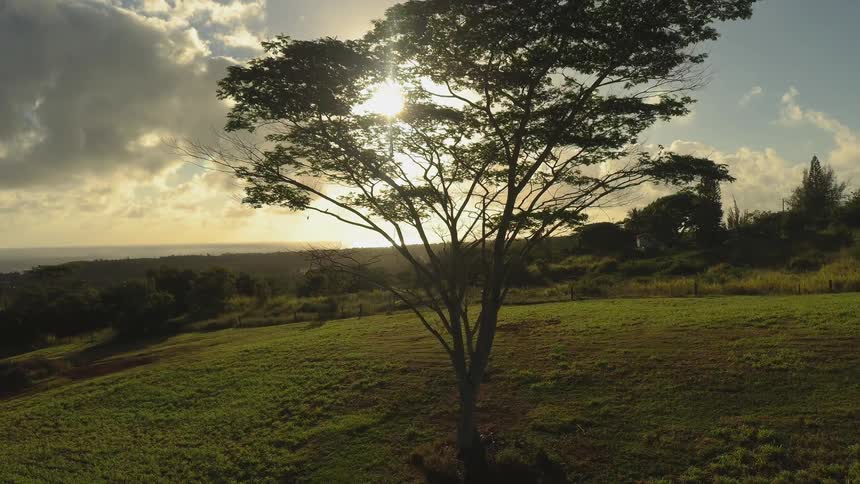 The sun shines on a green grassy field
