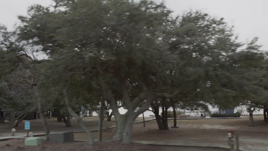 Trees line the side of the road