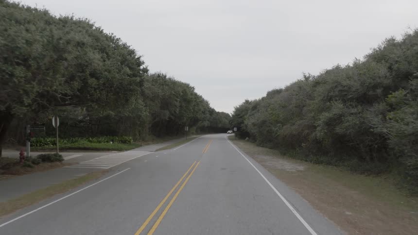The road is empty near the forest