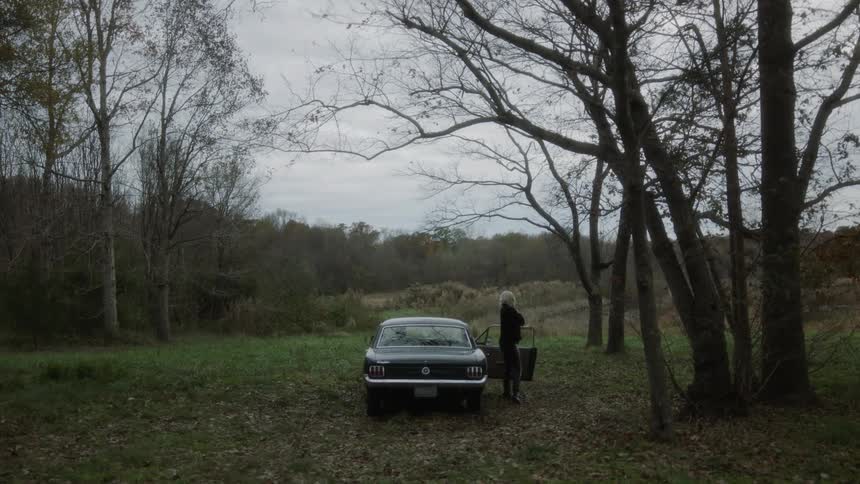 Car parked in a woodsy field opens and a person steps out