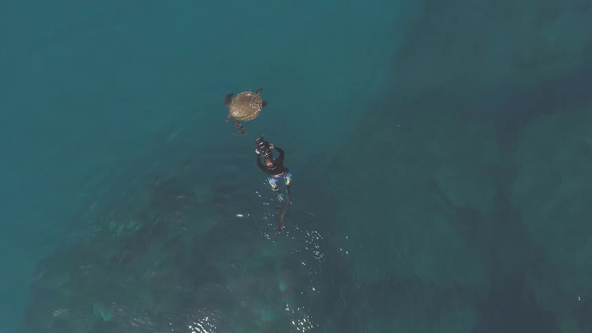 A diver films a sea turtle in the water
