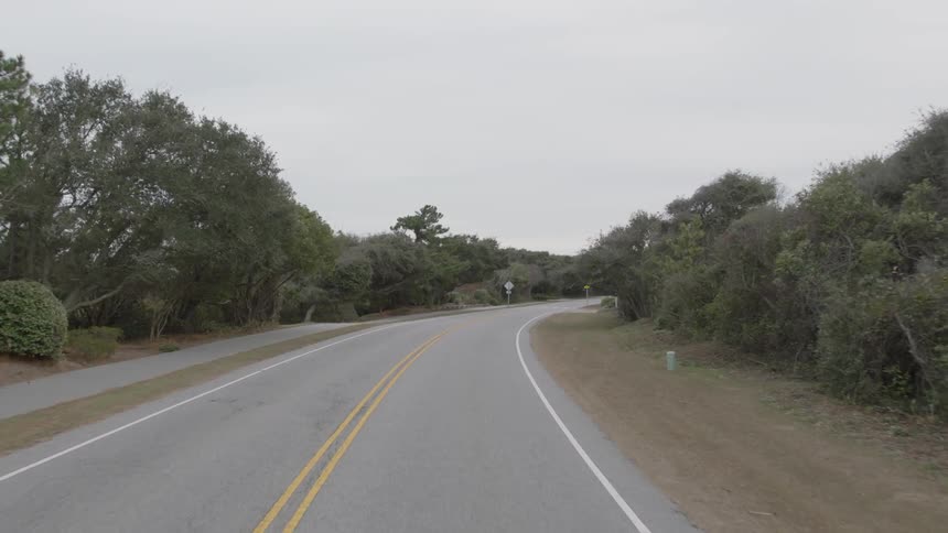 A tree lined rural road