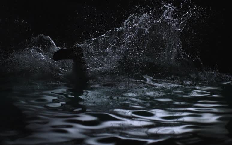 Person is falling into water in the dark