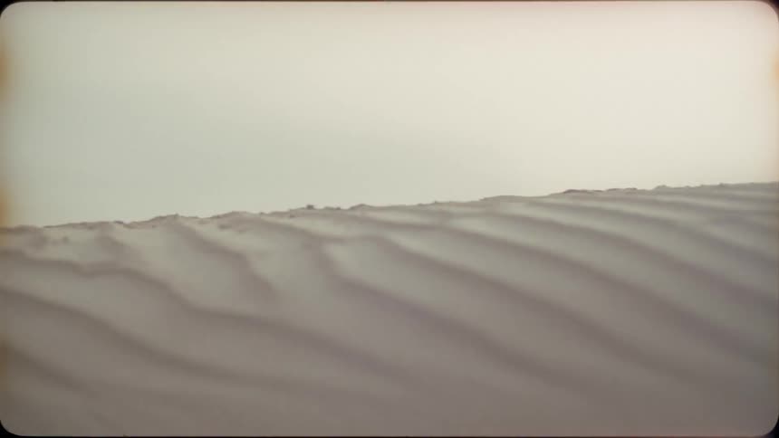 The sun shines on the sand dune