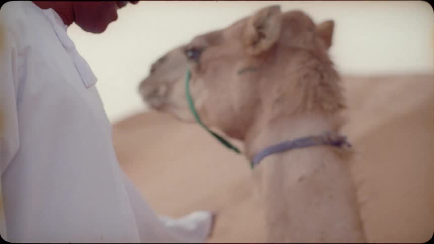 Smiling man looks down and another sits on a camel's back