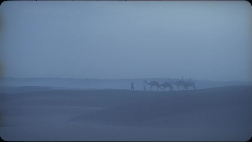 The camels are traveling ahead in the foggy desert