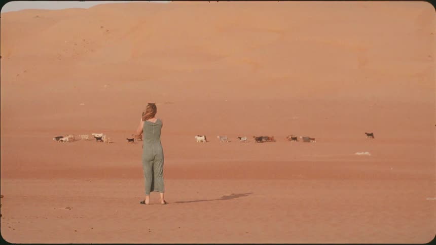 Woman walks in the desert and takes photos of animals