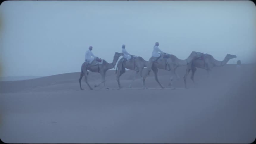 The people ride camels in the desert