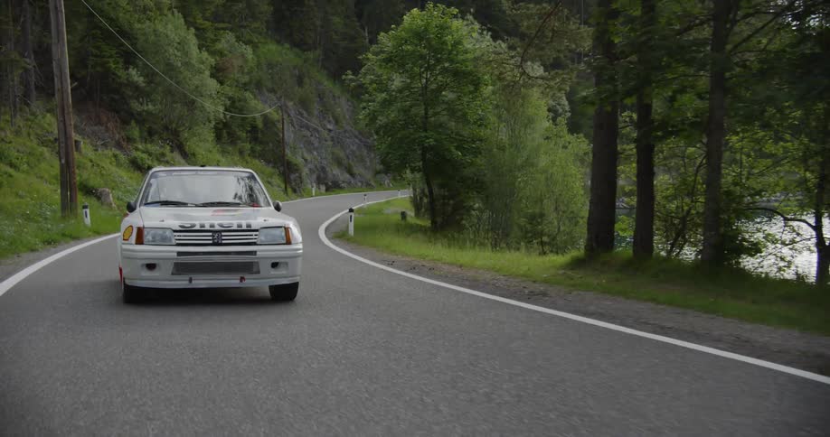 White vehicle drives on a tree lined country road