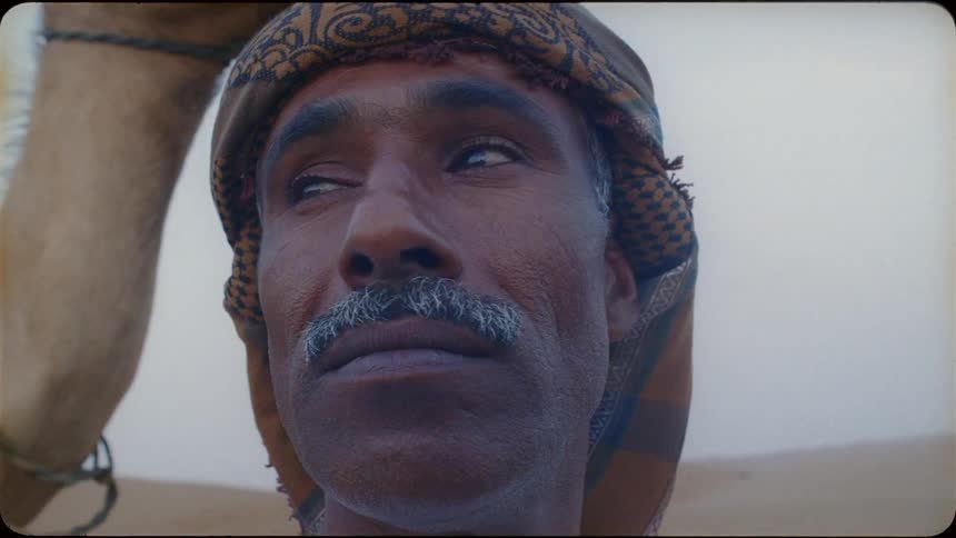 A man stands near a camel in the desert