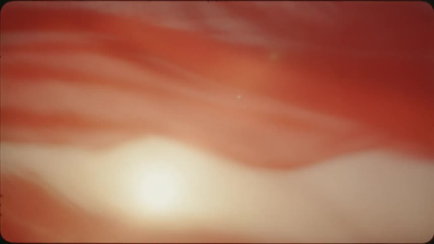 Red cloth billowing in the sunlight