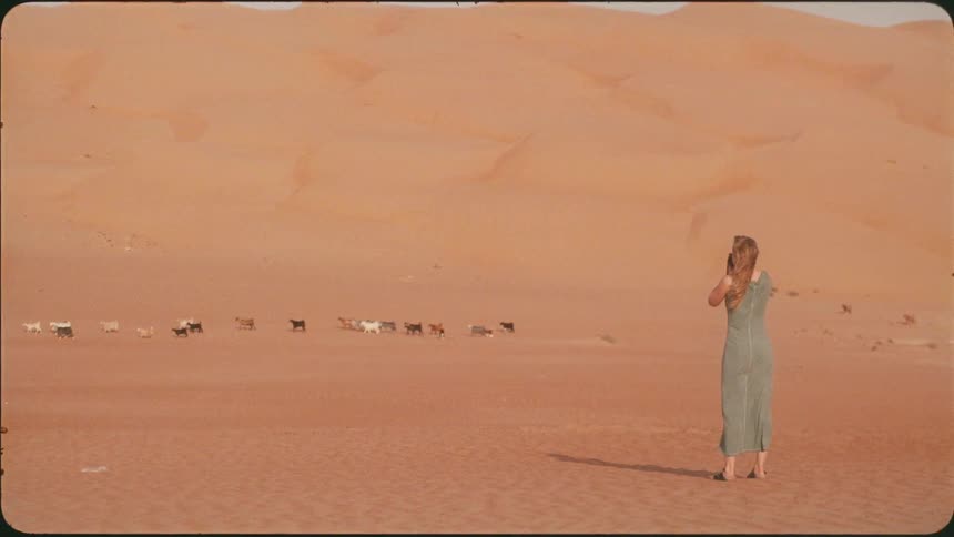 A woman is taking photos of a herd of goats as they cross a desert in daylight