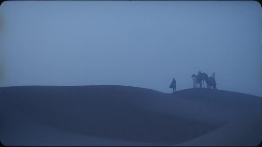 Several people with camels walk through the desert