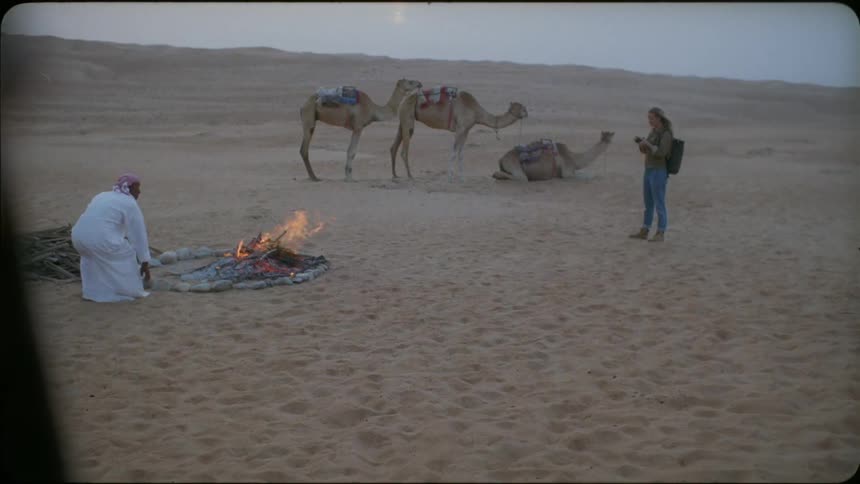 A woman stands near the camels in the desert