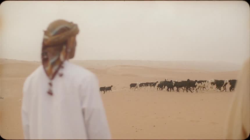 A man and woman watch a herd of goats in the desert