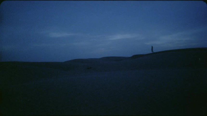 Person walks across the desert at night