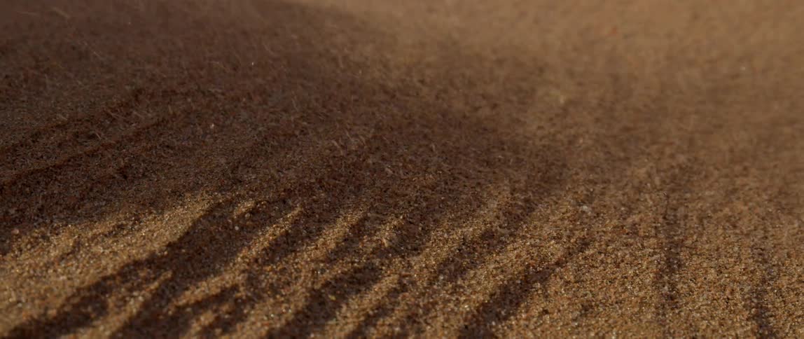 Grains of dirt blow in the wind