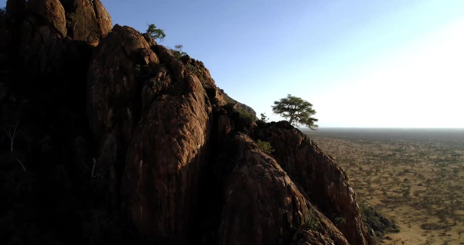 Trees and bushes grow on rocky hills on a sunny day