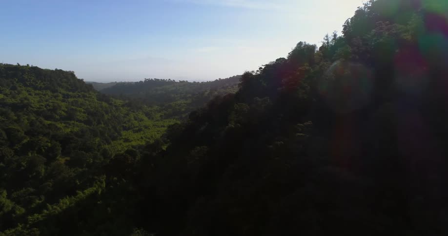 Sun shines over grassy hills