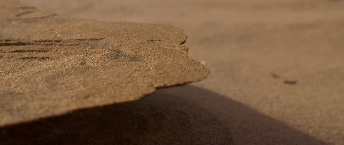 Granules of dirt blow in the wind