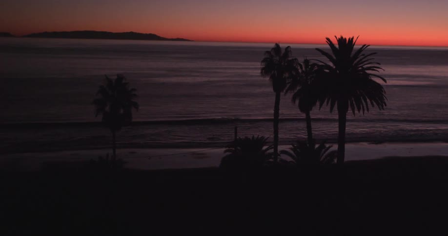 Palm trees are silhouetted on the beach at sunset