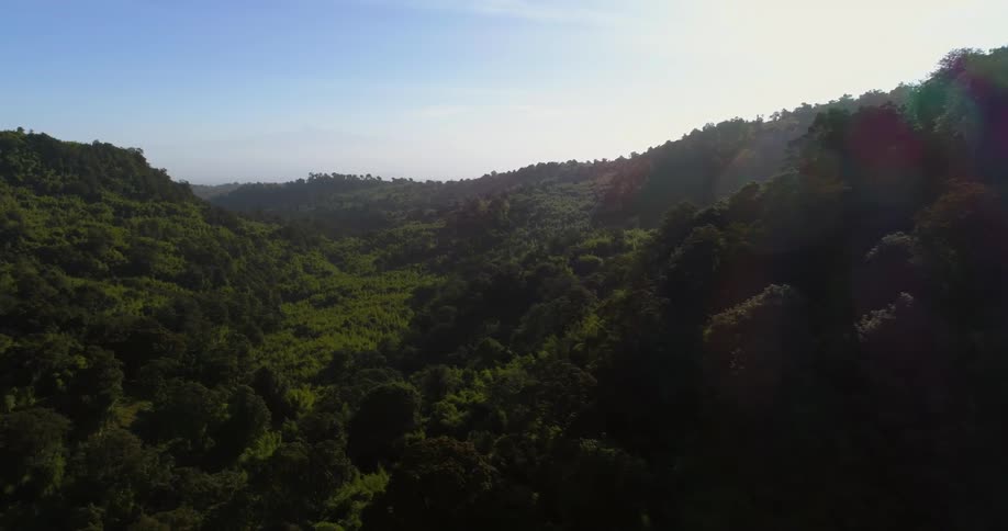 Trees cover the valley and hills