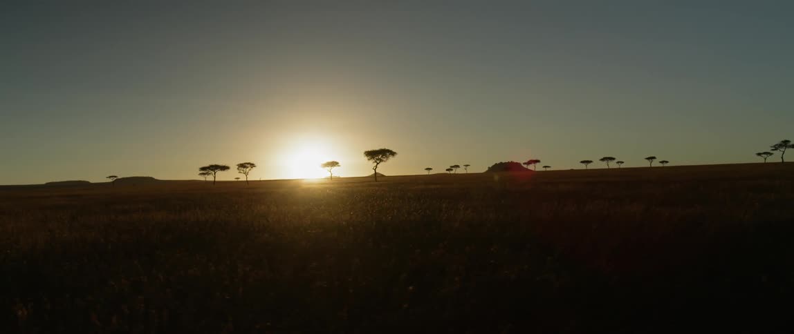 The sun is setting over the large field
