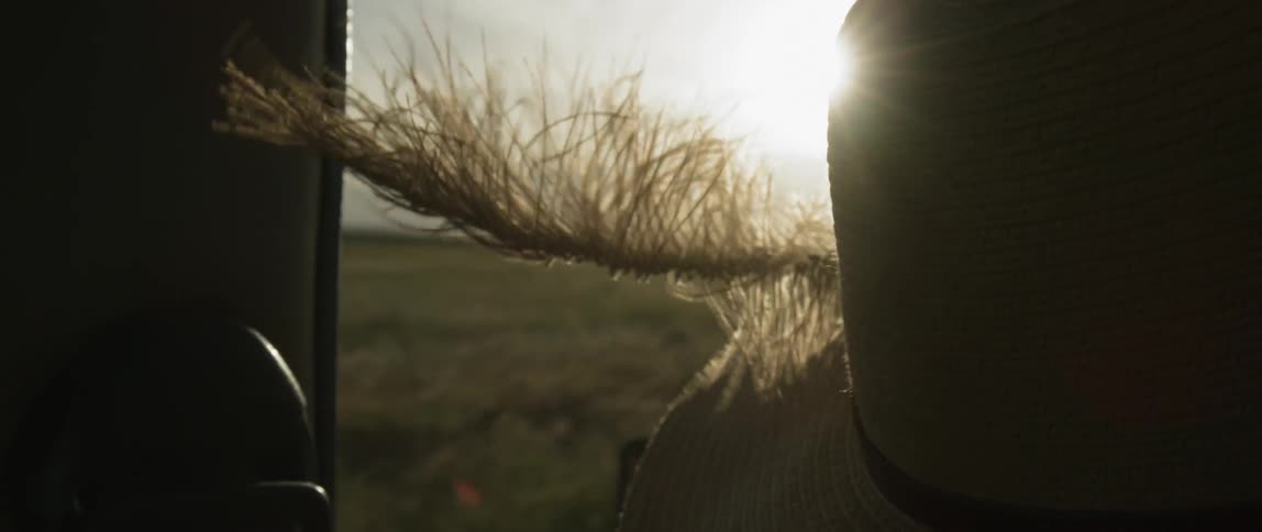 The wind blows a feather in the moving vehicle