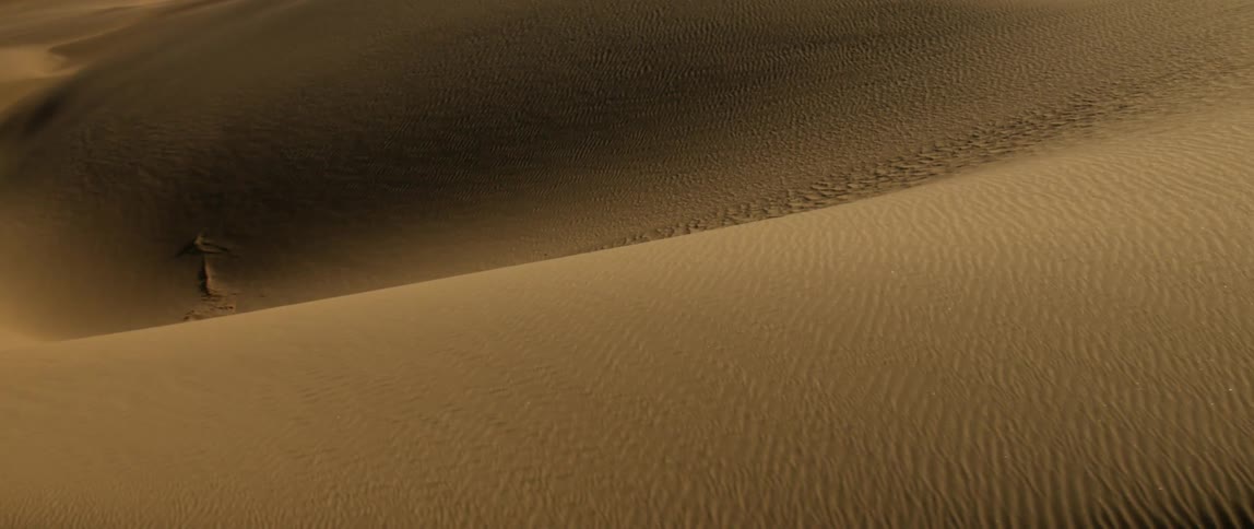 The long desert has many dunes on a sunny day