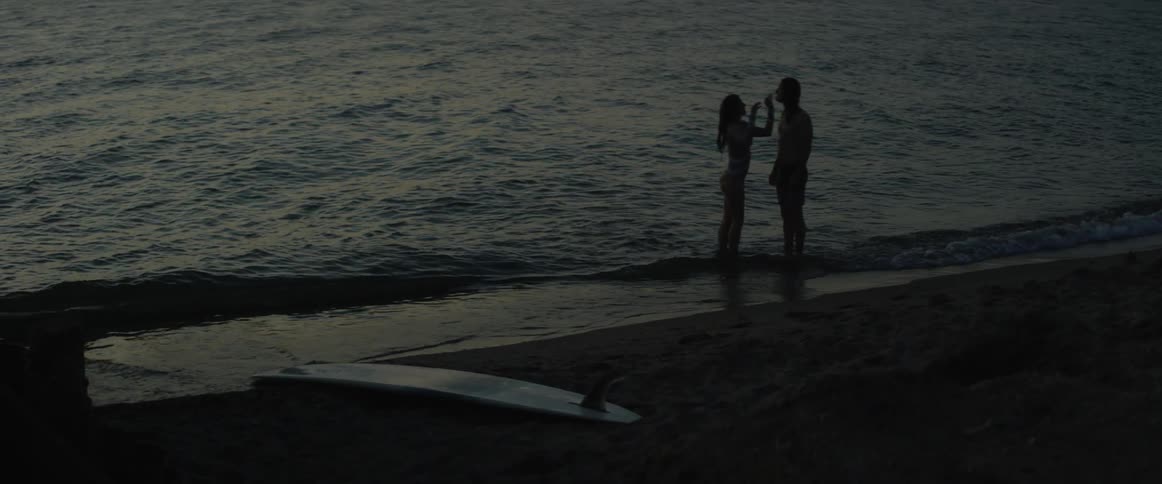 Couple stands at ocean's edge at dusk