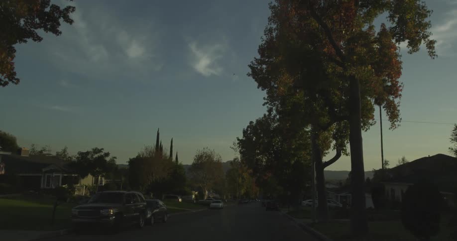 A suburban tree lined street at dusk