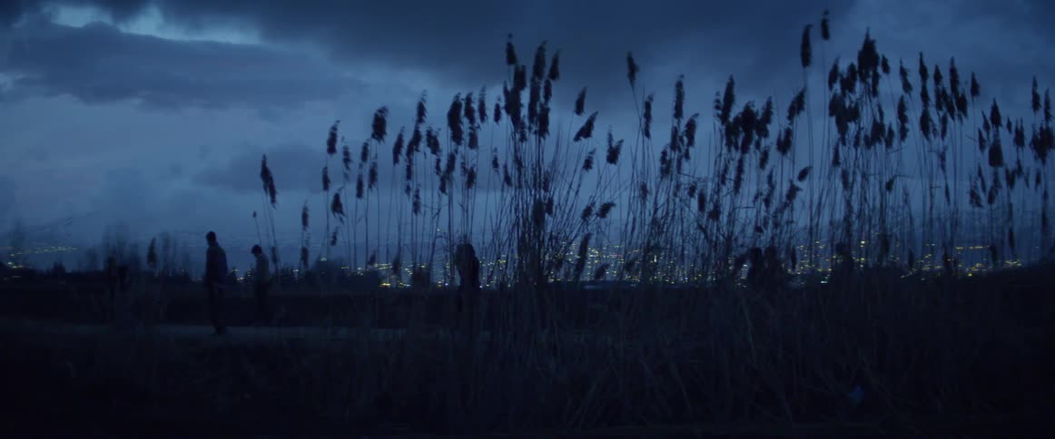 Several people walk through a grassy field in the evening