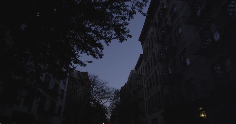 View of some buildings and trees at sunset
