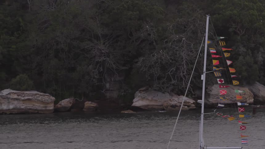 Flags on the mast of a moving boat