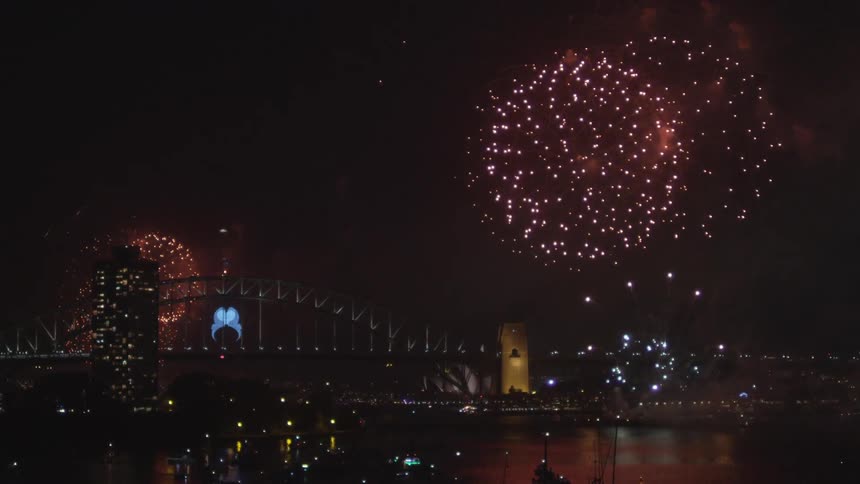Fireworks light up the sky of a large city