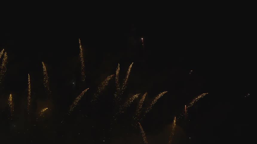 Bright fireworks fill a night sky