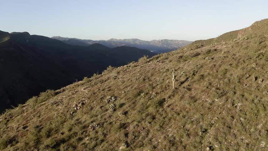 The hills are covered with green on a sunny day