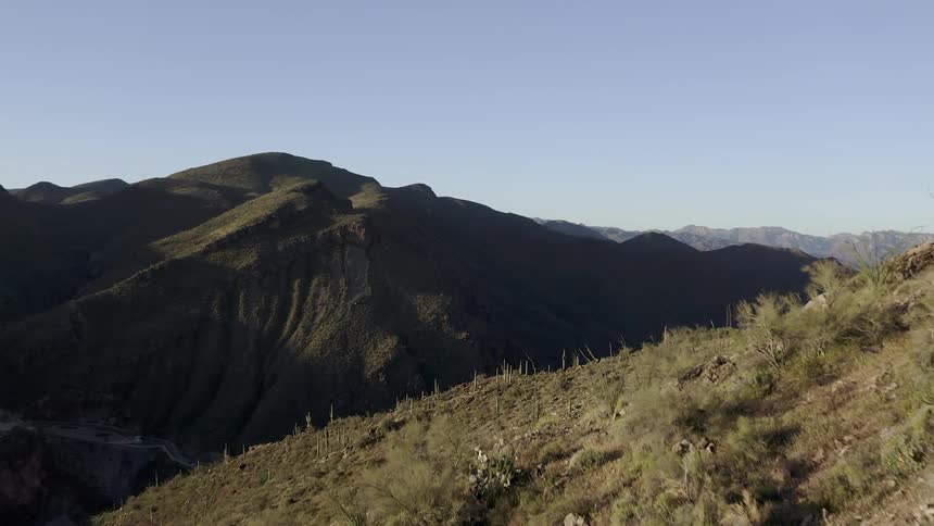 Weeds grow on the side of a mountain under a blue sky