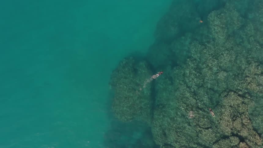 A person is swimming in the clear water