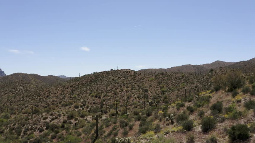 Bush covered hills in nature