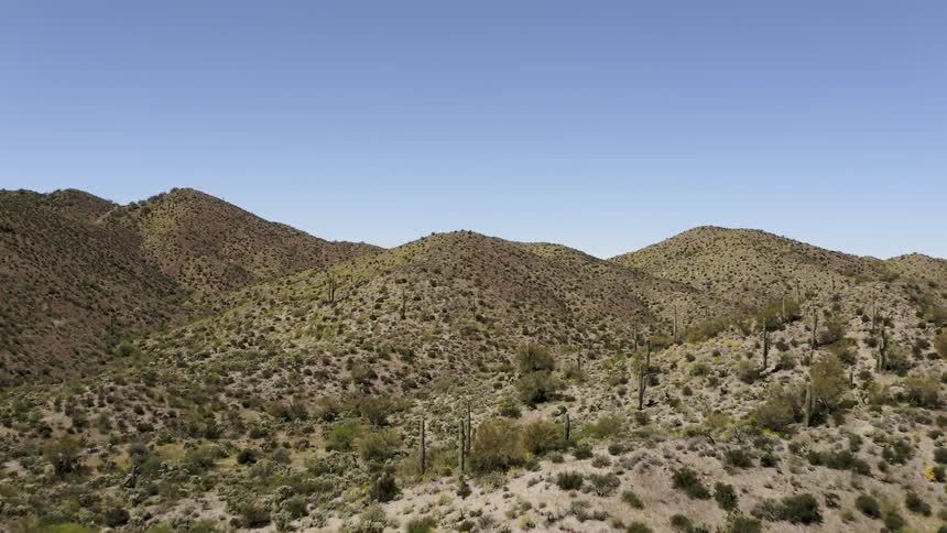 Cactus and brush on hills and slopes in the desert